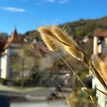 Turm.blick Apartamento