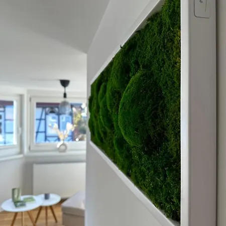 Apartment Turm.blick Goslar