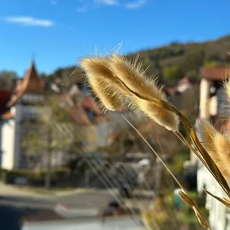 Turm.blick Apartament